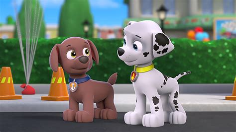 paw patrol free episodes